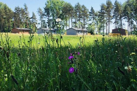 Wildflower Lodge - Luxury Lodge with Hot Tub