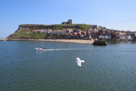 1 bedroom accommodation in Whitby