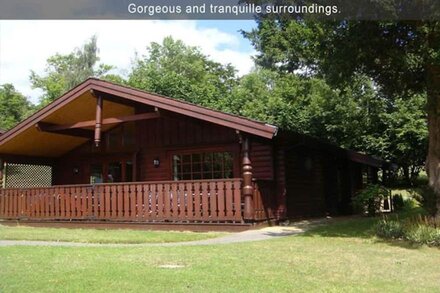 Gorgeous Log Cabin in the beautiful countryside - 1 hour from London