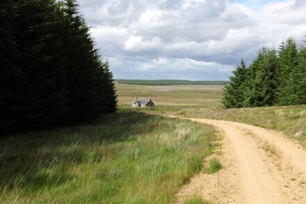 Remote pet friendly wilderness in Caithness - Free Fishing on 7 different Lochs