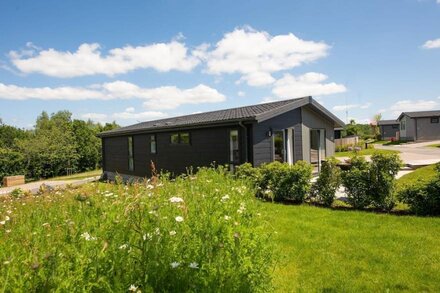 Buttercup Lodge, 33 Roadford Lake Lodges