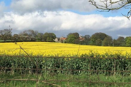 Cottage 4 Star Gold Set in Peaceful Countryside nr Newcastle, Durham & Beamish