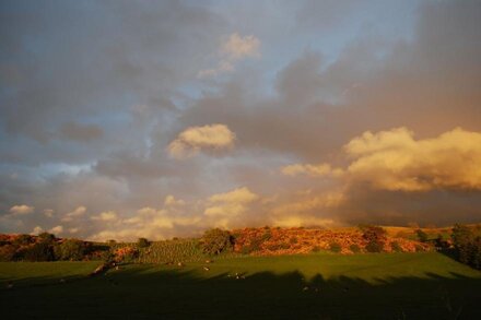 Calf Close Cottage: a rural retreat, dog-friendly, eco-friendly