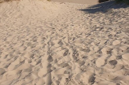 Wells-next-the-Sea. Quiet accommodation close to the Harbour and shops.