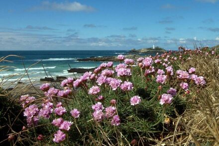 Family and pet friendly chalet. The perfect place to explore Cornwall.