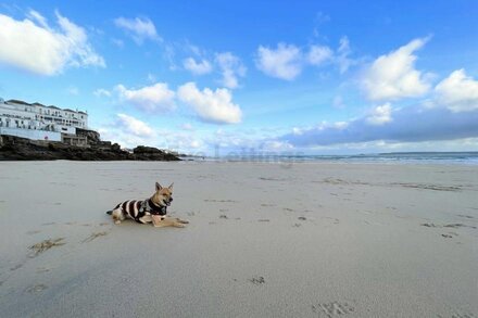 Your seaside home from home - apartment by the sea & parking!