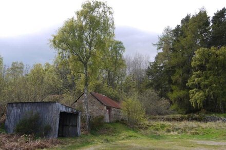 Wisdomhowe is a traditional cottage, surrounded by a birch woodland.