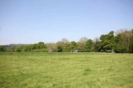 'Willow' Yurt in West Sussex Countryside