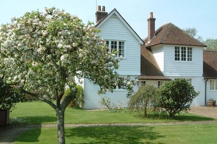 Pretty cottage with direct access to The New Forest