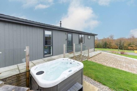 Bluebell Lodge, 29 Roadford Lake Lodges