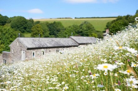 MEAVY COTTAGE, family friendly, luxury holiday cottage in Cornworthy