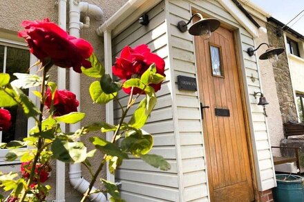 Fantastic, hideaway dog-friendly holiday cottage in Cardigan perched on the hillside in St Dogmaels