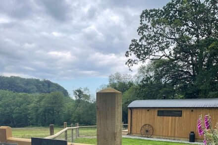 Fairwater Lodges - Shepherd Hut Holiday, dog friendly with hot tub