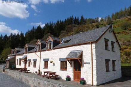 Vacation home Maent in Llanrwst - 4 persons, 2 bedrooms