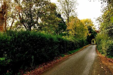 Detached Forest Setting Bungalow