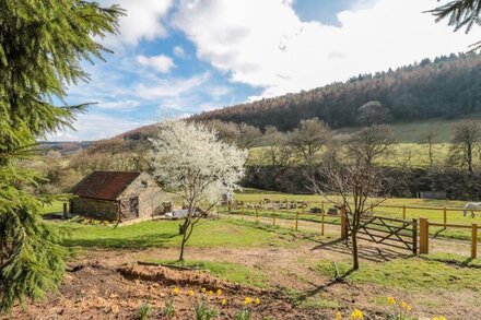 THOMPSON RIGG BARN, family friendly, with hot tub in Thornton-Le-Dale