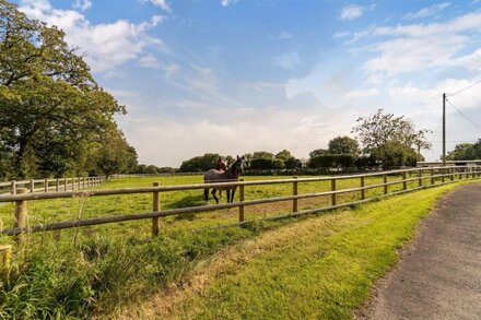 High quality lodge, well placed for exploring all corners of Devon & Cornwall