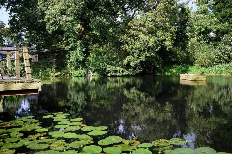 Sussex barn with games room, hot tub and natural swimming pond.