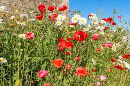 POPPY LODGE, family friendly in Perranporth