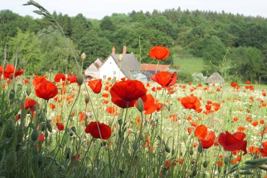 Mill Cottage set in a 70 acre Nature Reserve