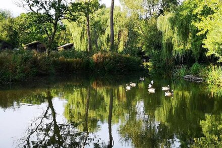 Kingfisher Hot Tub  Lodge-HuntersMoon -Warminster-Longleat-Bath