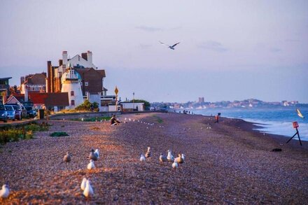 Cissys Cottage in a Nature Reserve, 7 minutes from Aldeburgh seafront