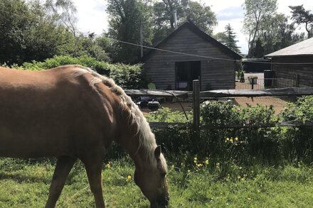 The Parlour - Spectacular views, country walks, cozy nights, pet friendly.