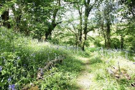 ❤️ Beautiful 2 bed terraced cottage, fast wifi, 55 acres near Babington House