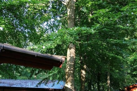 Hawthorn Lodge - Woodland Lodge with hot tub