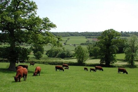 SWALLOWS COTTAGE, pet friendly, luxury holiday cottage in Honiton