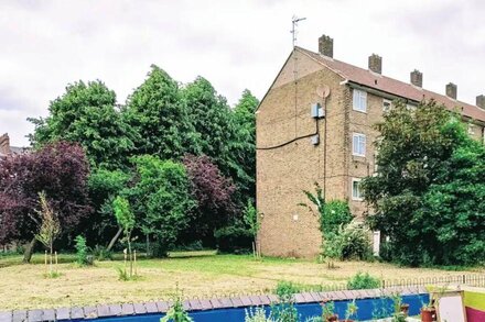 Serene 3BD Flat, view of the Thames - Hammersmith