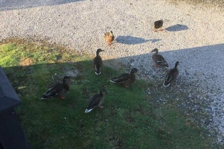 Lakes View holiday home at Borwick Lakes