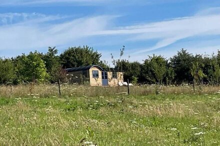 Novelist Double Shepherd's Hut with expansive view