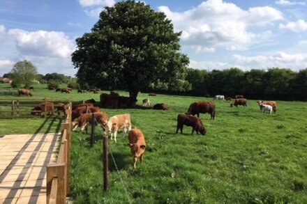 The Shamba, Bainvalley Cottages