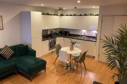 Modern Apartment Euston-Camden 1