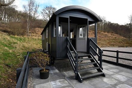 The Carriage  -  a shepherd's hut  that sleeps 2 guests  in 1 bedroom