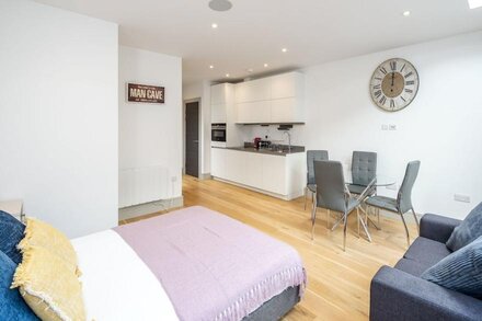 Stylish Studio Flat In Seven Sisters