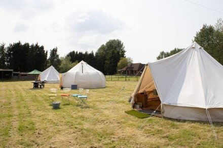 Basil - Bell Tent in Dormston