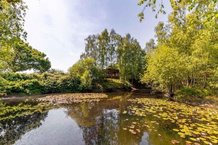 Fat Rascals Retreat | Stunning Secluded Lakeside Lodge with free fishing on site!