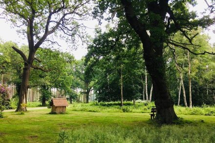 Sunflower Lodge - Lodge with Hot Tub