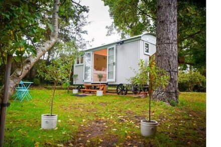 Shepherd's Hut B&B nr Salisbury, Stonehenge & Bath