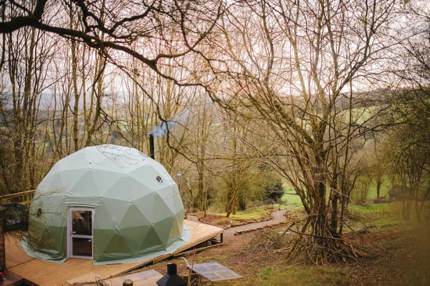 The Tree Dome - Luxurious Glamping Retreat