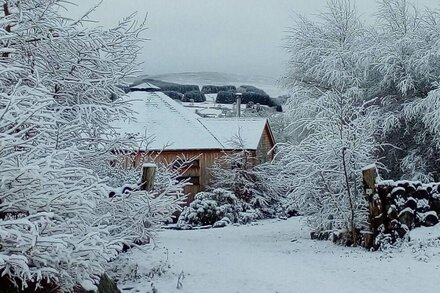 Silver Birch Treehouse @ Dalnoid - secluded, sleeps 2, hot-tub, mountain views