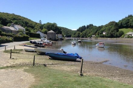 Tranquil, cosy waterside cottage, local pub, shop, walks, boating from the door.