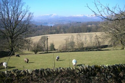 Badger's Way - In The Heart Of The English Lake District - Badger Watching Here