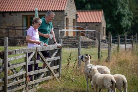 Hindburn -  a cottage that sleeps 2 guests  in 1 bedroom