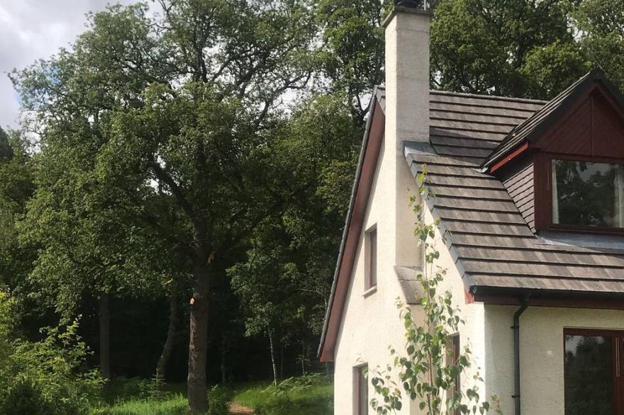 Luxurious modern cottage with oak garden in Cairngorm National Park