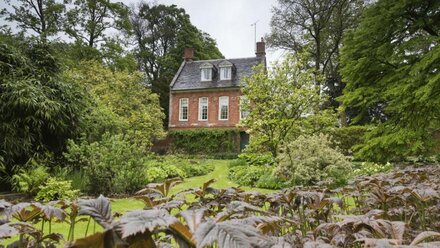 Bog Cottage