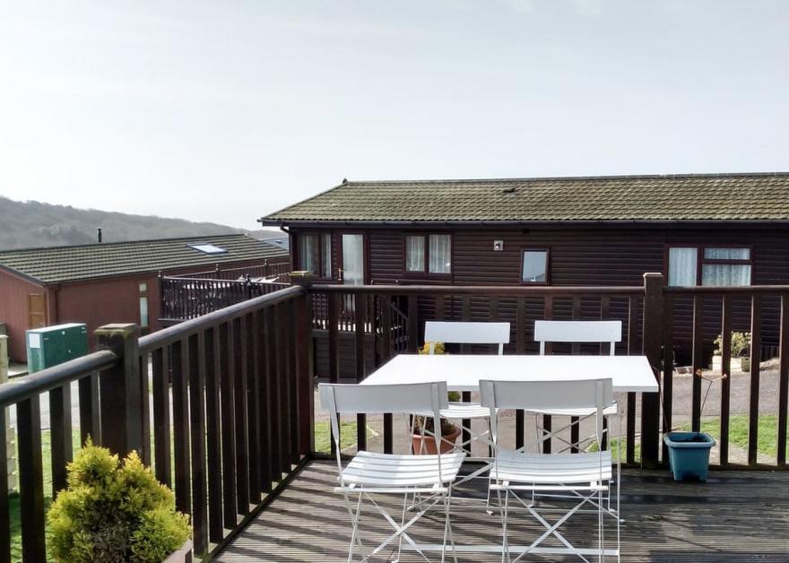 Foxes Run 3 (Silver)