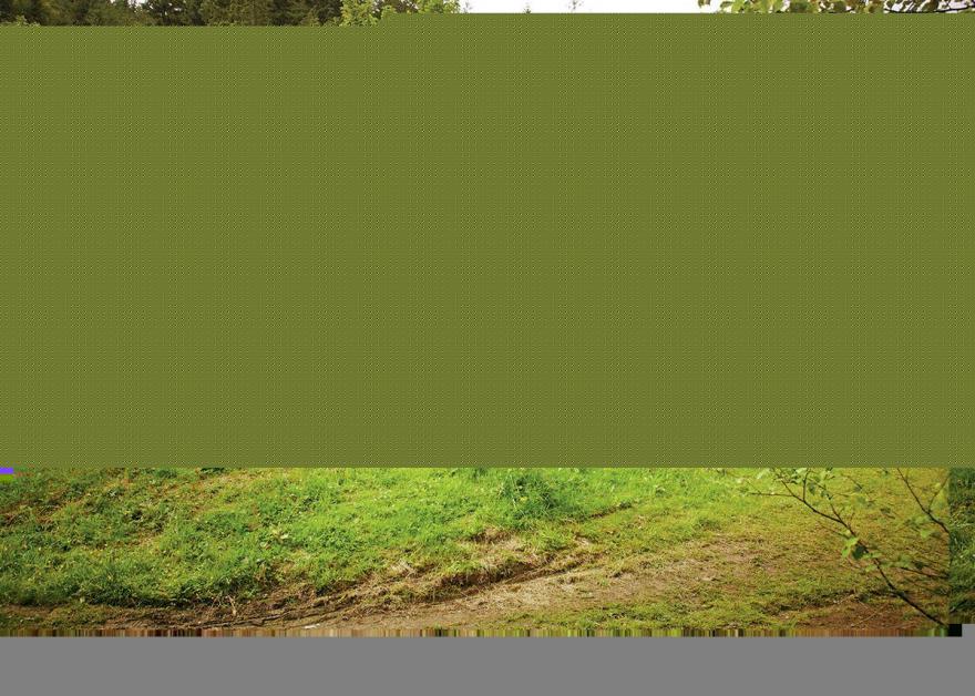 Golden Oak Hideaway Lochside 1